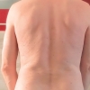 Karsten 
